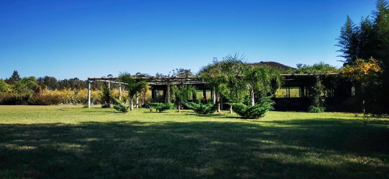 קולוניה דל סקרמנטו La Casa De Los Limoneros מראה חיצוני תמונה